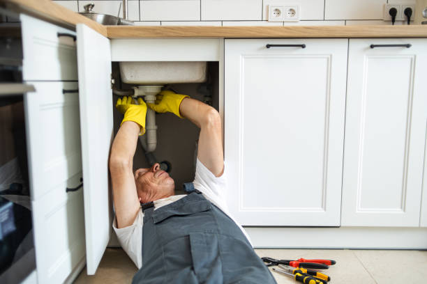 Best Water Softener Installation  in Elk Ridge, UT